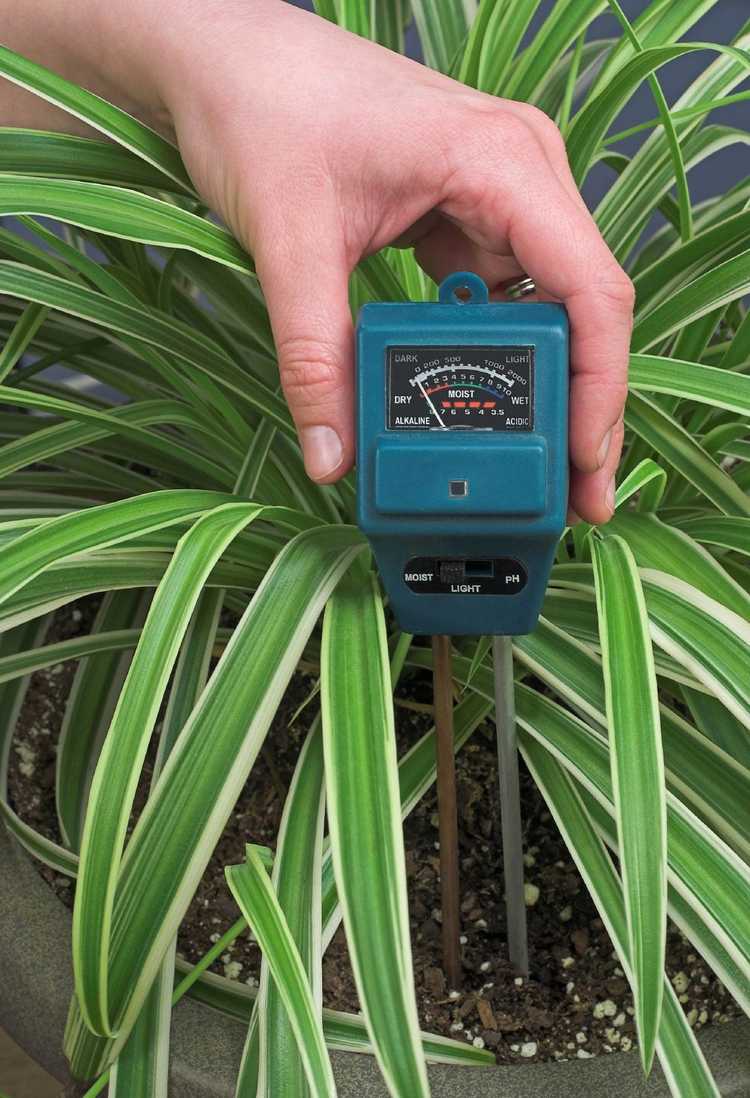 You are currently viewing Tester l'humidité des plantes : comment mesurer l'humidité du sol des plantes
