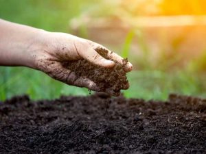 Lire la suite à propos de l’article Percolation dans le sol : pourquoi la percolation du sol est-elle importante
