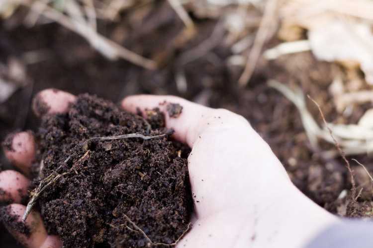 You are currently viewing Stockage du compost – Conseils sur le stockage du compost de jardin