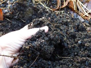 Lire la suite à propos de l’article Mon compost est-il terminé : combien de temps faut-il au compost pour mûrir