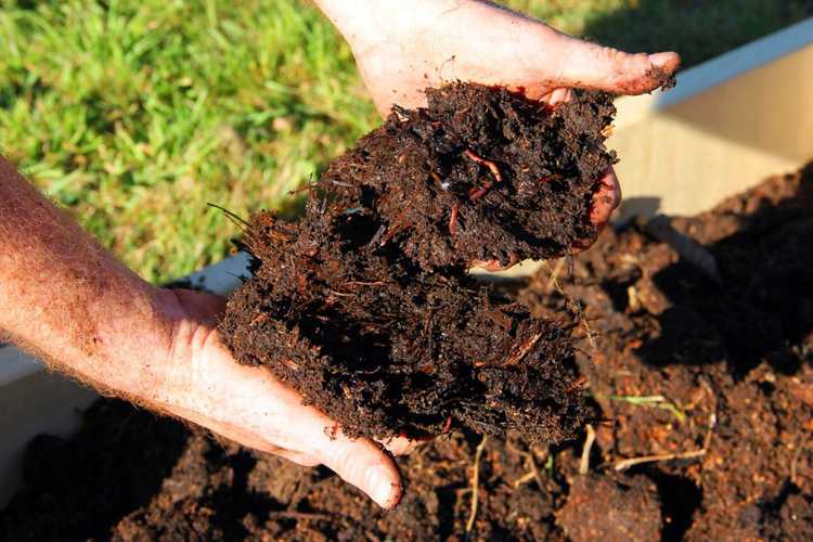 You are currently viewing Compost comme amendement du sol – Conseils pour mélanger le compost avec le sol