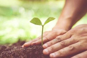 Lire la suite à propos de l’article Jardinage et dépendance – Comment le jardinage aide à la guérison