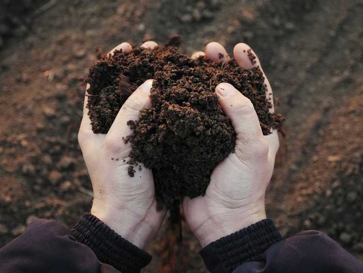 Hände halten nachhaltige Gartenerde