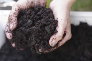 Lire la suite à propos de l’article Préparation du sol de jardin : conseils pour améliorer le sol de jardin