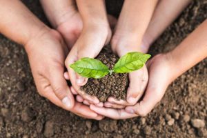 Lire la suite à propos de l’article Enfants autistes et jardinage : créer des jardins adaptés à l'autisme pour les enfants