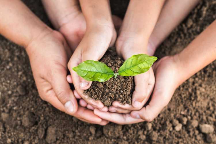 You are currently viewing Enfants autistes et jardinage : créer des jardins adaptés à l'autisme pour les enfants