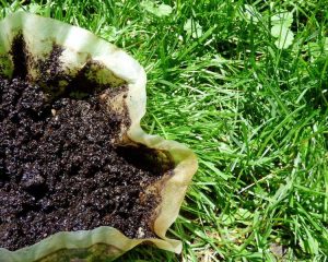 Lire la suite à propos de l’article Le marc de café comme engrais pour la pelouse – Comment appliquer le marc de café sur la pelouse