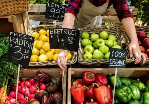 Lire la suite à propos de l’article Le bio est-il meilleur ? En savoir plus sur les plantes biologiques et les plantes biologiques. Plantes non biologiques