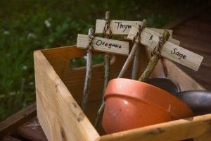 Lire la suite à propos de l’article Marqueurs de plantes DIY – Idées amusantes pour créer des étiquettes de plantes dans le jardin