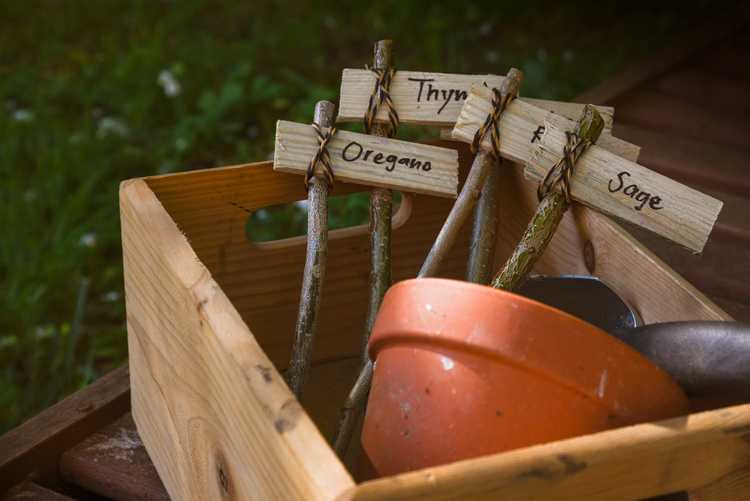 You are currently viewing Marqueurs de plantes DIY – Idées amusantes pour créer des étiquettes de plantes dans le jardin