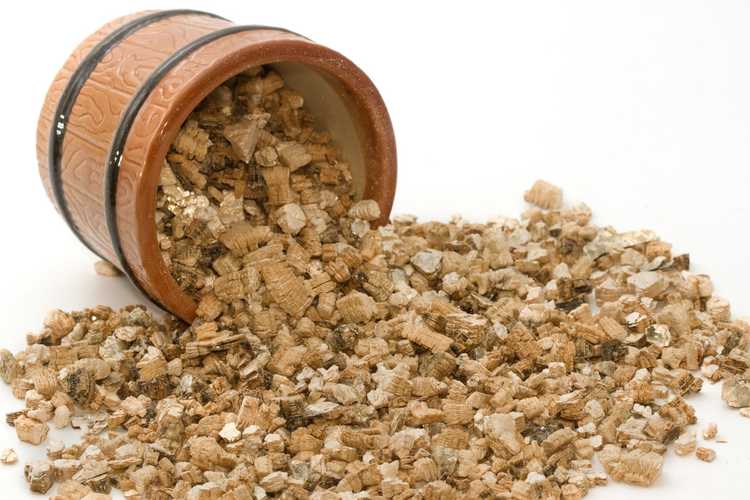 You are currently viewing Qu'est-ce que la vermiculite : conseils sur l'utilisation du substrat de culture de vermiculite