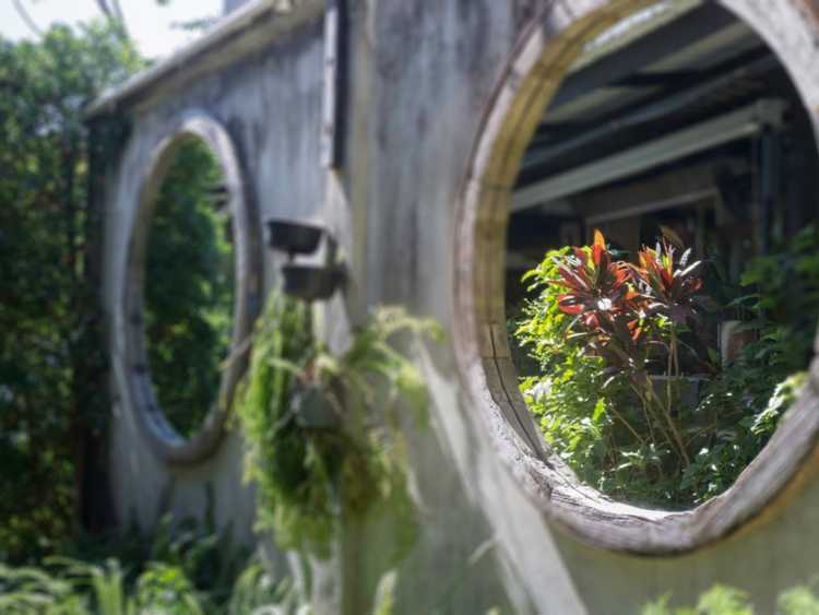 Lire la suite à propos de l’article Miroirs dans un jardin : conseils sur l’utilisation de miroirs dans la conception de jardins