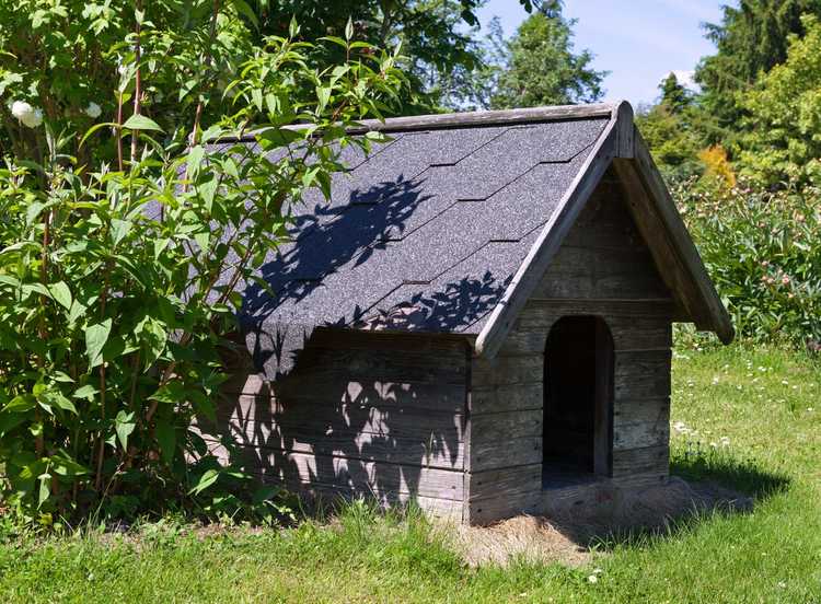 You are currently viewing Qu'est-ce qu'une niche verte : fabriquer un toit de jardin pour niche à faire soi-même