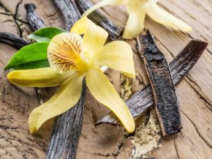 Lire la suite à propos de l’article Des orchidées comestibles qui ont aussi bon goût qu'elles en ont l'air