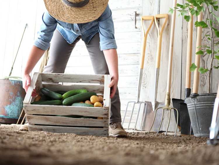 You are currently viewing Idées de ferme d'agrément – Conseils pour démarrer une ferme d'agrément