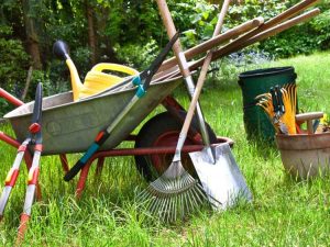 Lire la suite à propos de l’article Donner des outils de jardinage : où pouvez-vous faire don d'outils de jardinage ?
