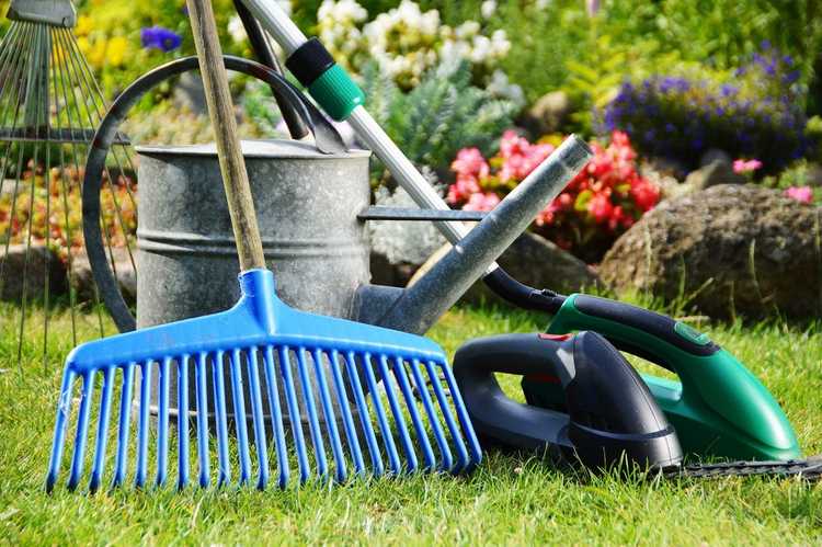 Lire la suite à propos de l’article Outils de jardinage pour débutants : conseils pour choisir des outils pour le jardin