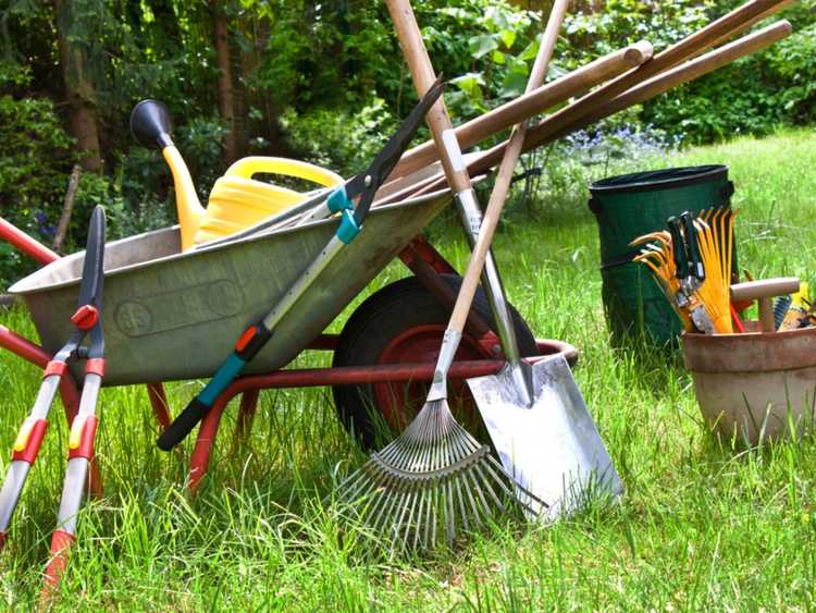 Lire la suite à propos de l’article Outils de jardinage indispensables – Découvrez les outils et équipements de jardinage courants