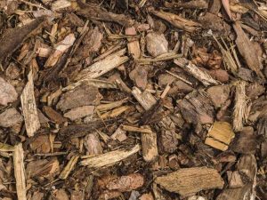 Lire la suite à propos de l’article Types de paillis d'écorce : conseils pour utiliser le paillis de bois dans les jardins