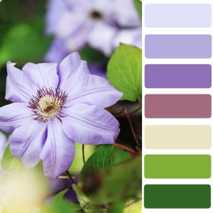 Lire la suite à propos de l’article Qu'est-ce que Pantone – Planter un jardin avec la palette de couleurs Pantone