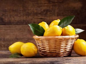 Lire la suite à propos de l’article Récolte des citrons – Combien de temps faut-il à un citron pour mûrir