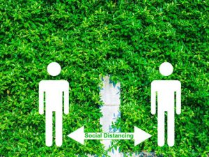 Lire la suite à propos de l’article Distanciation sociale verte : faire pousser des murs végétaux pour la distance sociale