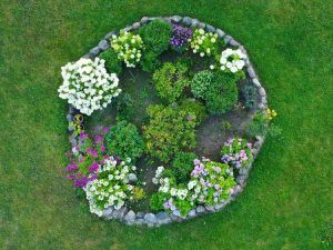 Lire la suite à propos de l’article Conception de cercle de parterre de fleurs : comment faire pousser des fleurs en cercle