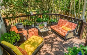 Lire la suite à propos de l’article Plantes de terrasse nécessitant peu d'entretien : cultivez un jardin de terrasse facile à entretenir