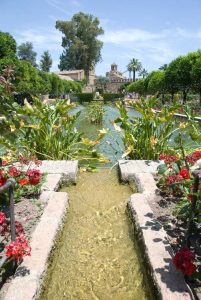 Lire la suite à propos de l’article Plantes de jardin islamiques : création de jardins et de paysages islamiques
