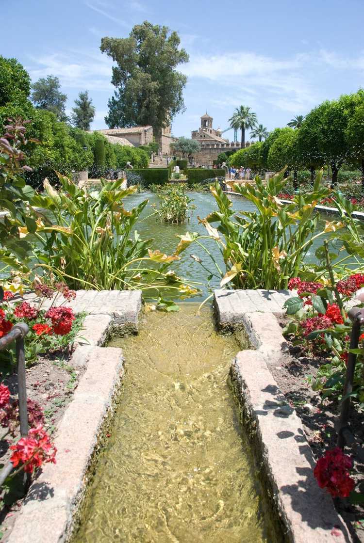 You are currently viewing Plantes de jardin islamiques : création de jardins et de paysages islamiques