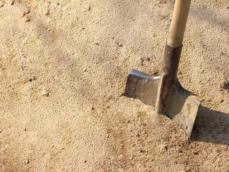 You are currently viewing Amendements de sols sablonneux : comment améliorer les sols sableux