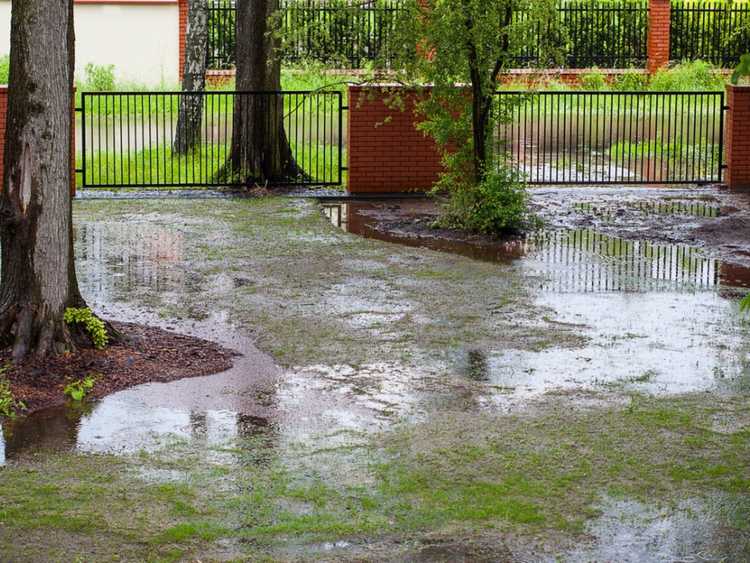 You are currently viewing Drainage du jardin – Comment corriger les problèmes de drainage du jardin