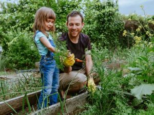 Lire la suite à propos de l’article Comment commencer la propriété en permaculture