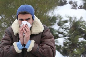 Lire la suite à propos de l’article Allergies aux plantes par temps froid – Existe-t-il des plantes allergiques à l'hiver