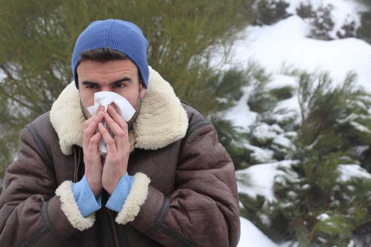 You are currently viewing Allergies aux plantes par temps froid – Existe-t-il des plantes allergiques à l'hiver