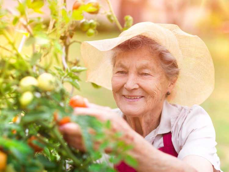 You are currently viewing Jardins pour personnes âgées : créer un jardin pour personnes âgées facile d'entretien