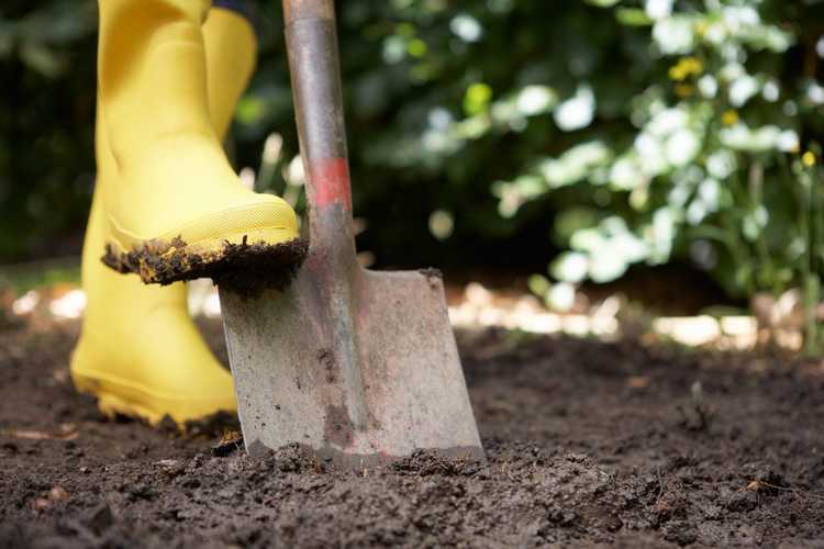 Lire la suite à propos de l’article Choisir des pelles pour les jardins : de quelle pelle avez-vous besoin pour le jardinage