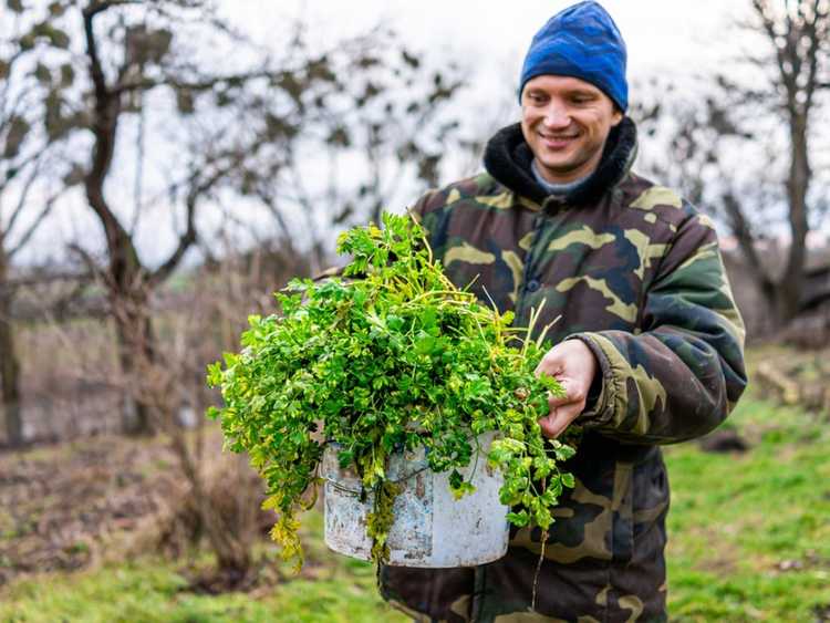 Lire la suite à propos de l’article 5 façons de rester au chaud dans le jardin