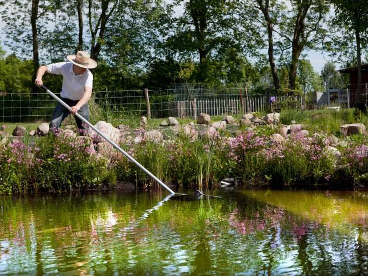 You are currently viewing Nettoyer un bassin : quand et comment nettoyer un bassin de jardin en toute sécurité