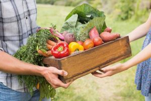 Lire la suite à propos de l’article Redonner avec les jardins – Idées de jardins bénévoles et caritatifs