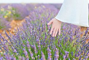 Lire la suite à propos de l’article Créer un jardin sensoriel – Idées et plantes pour les jardins sensoriels