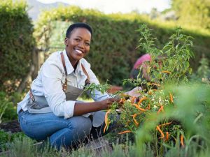 Lire la suite à propos de l’article Comment démarrer votre propre jardin de la victoire