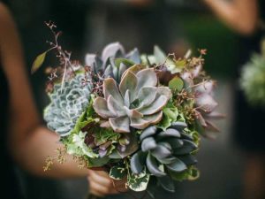 Lire la suite à propos de l’article Bouquet succulent DIY – Comment créer un bouquet succulent