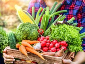 Lire la suite à propos de l’article Cultiver un jardin autosuffisant – Planter un jardin alimentaire autosuffisant