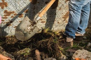 Lire la suite à propos de l’article Utiliser des pelles à pointe ronde – Comment utiliser une pelle à tête ronde dans le jardin