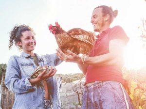 Lire la suite à propos de l’article Cadeaux pour agriculteurs amateurs – Cadeaux uniques pour les fermiers