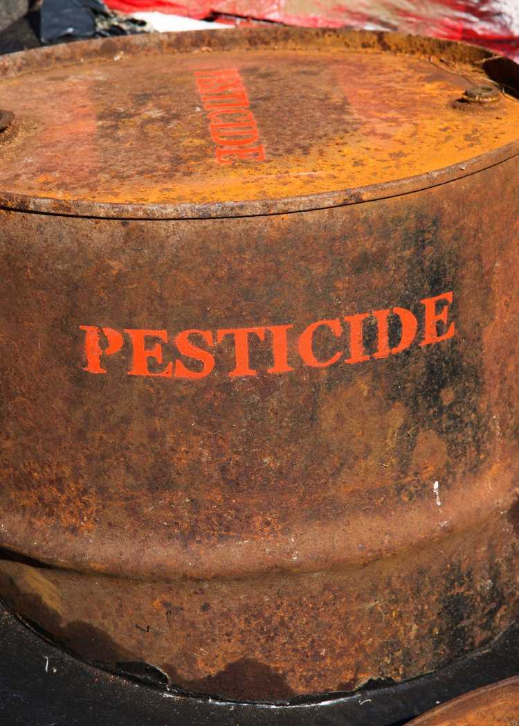 Lire la suite à propos de l’article Élimination en toute sécurité des pesticides inutilisés : découvrez le stockage et l'élimination des pesticides