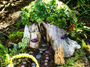 Lire la suite à propos de l’article Plantes d'ombre de jardin de fées : choisir des plantes d'ombre pour un jardin de fées