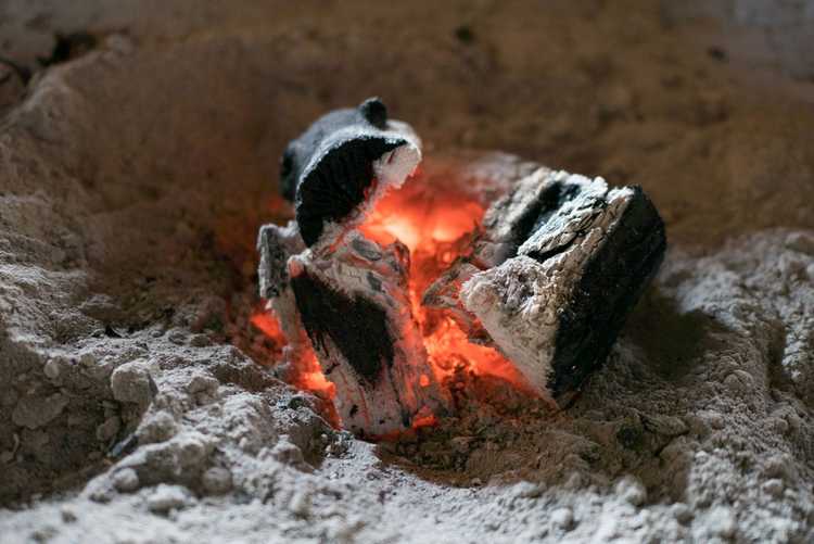 Lire la suite à propos de l’article En savoir plus sur l'utilisation des cendres dans le compost