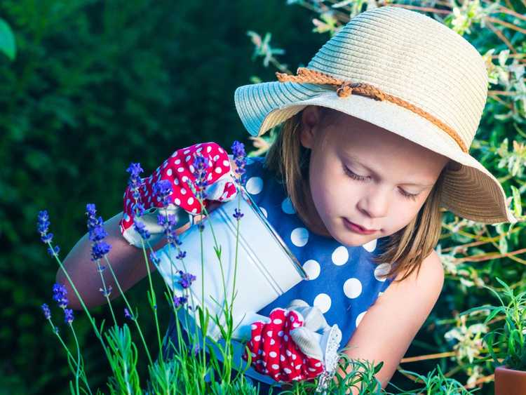 You are currently viewing Jardins d'herbes aromatiques pour les enfants
